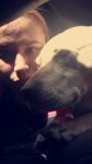 Hannah - Perro labrador